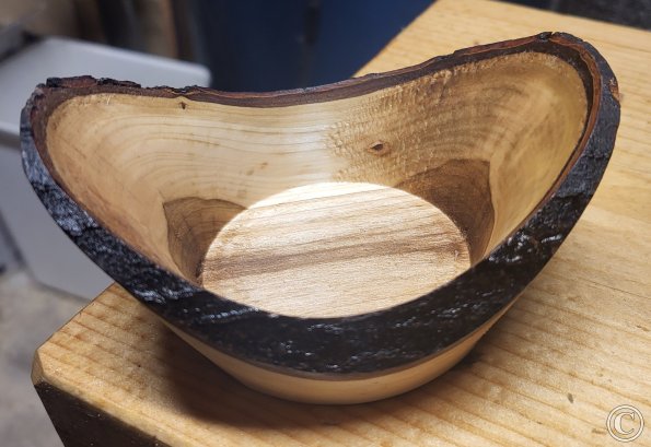 Live Edge Dish