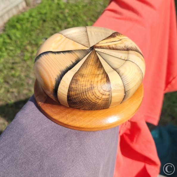 Multicolour Segmented dish