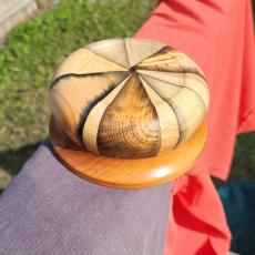 Multicolour Segmented dish